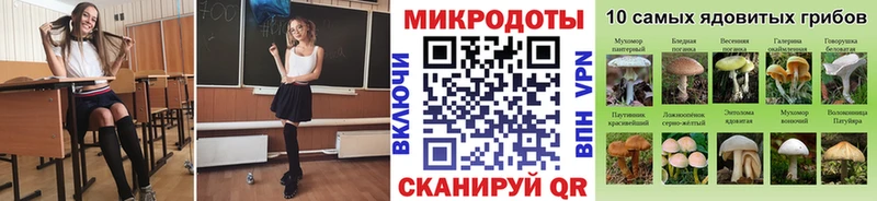 продажа наркотиков Куртамыш Псилоцибиновые грибы Magic Shrooms